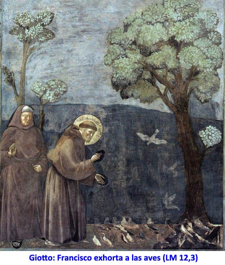 Giotto: Francisco exhorta a las aves (LM 12,3)